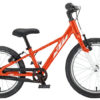 BICICLETA WILD CROSS 16 LAR KTM — vista geral