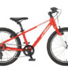 BICICLETA WILD CROSS 20 LAR KTM — vista geral