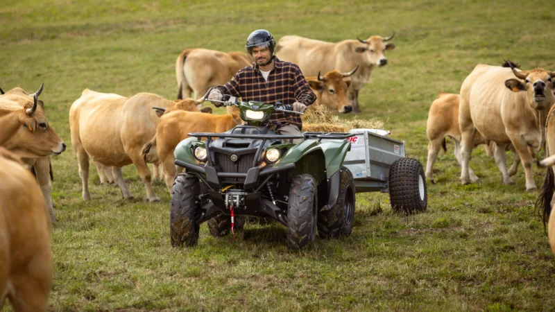 QUAD KODIAK 700 EPS YAMAHA — vista geral